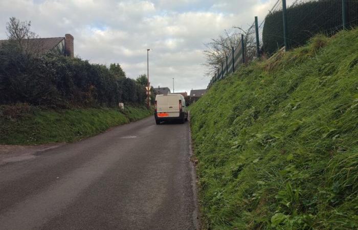 In Eslettes, nearly 900 vehicles use the small rue des Jonquilles every day, local residents can't take it anymore