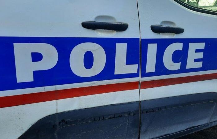 Aulnay-sous-Bois: a 29-year-old woman killed in front of her child, her partner in police custody