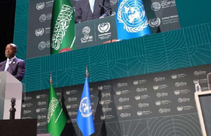 Environment: UN conference on desertification opens in Saudi Arabia