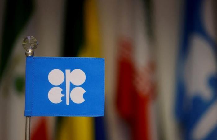 OPEC oil production rises in November due to recovery in Libya, survey shows