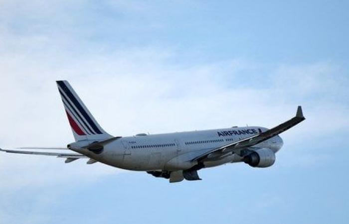 Air France-KLM, best student in sustainable fuels