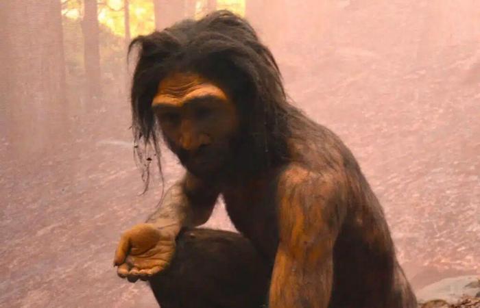 Scientists discover new human species in China