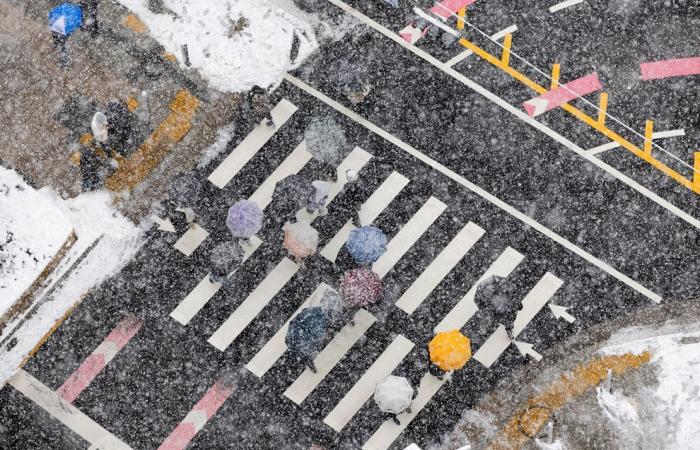 Seoul, South Korea snow: Delight and disruption as record November snowfall hits capital