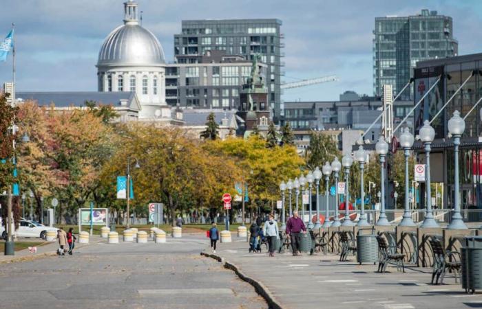 Montreal among the 100 best cities in the world in 2025