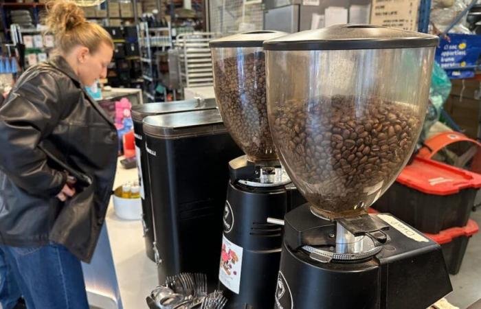 Prepare to pay more for your coffee: “It’s become a luxury product”