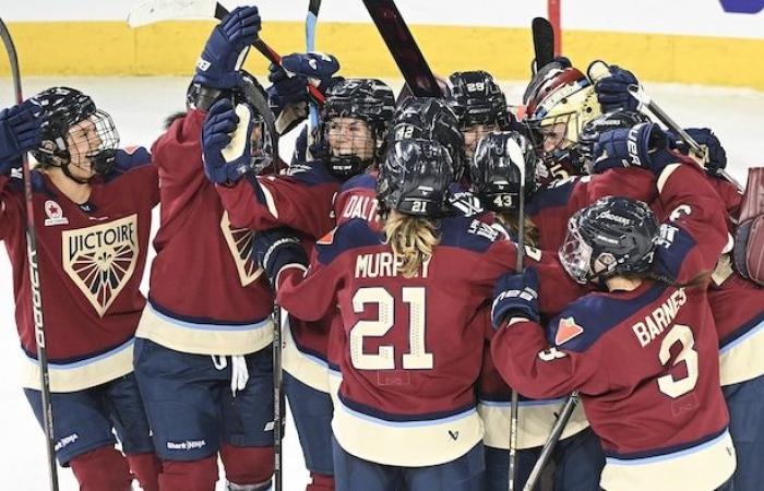 A female sports bar project in Montreal