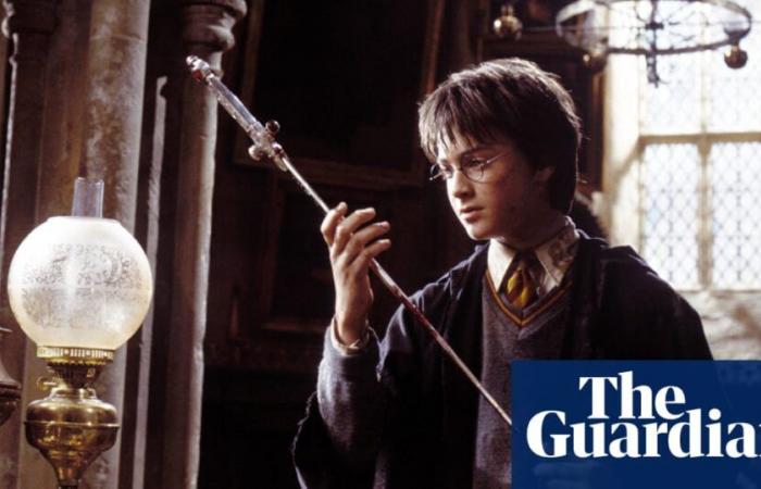 Replica Harry Potter swords recalled in Japan for breaking weapons law | Japan