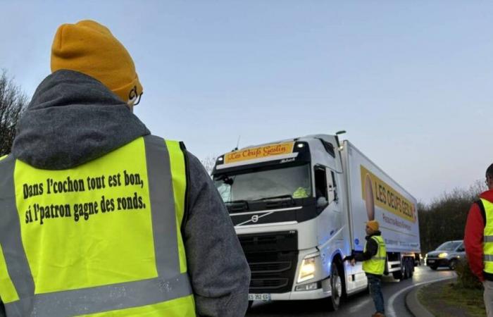 In Vendée, Rural Coordination is carrying out an operation to control the origin of meat at the toll booth