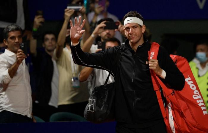 The day Del Potro won the 2009 US Open