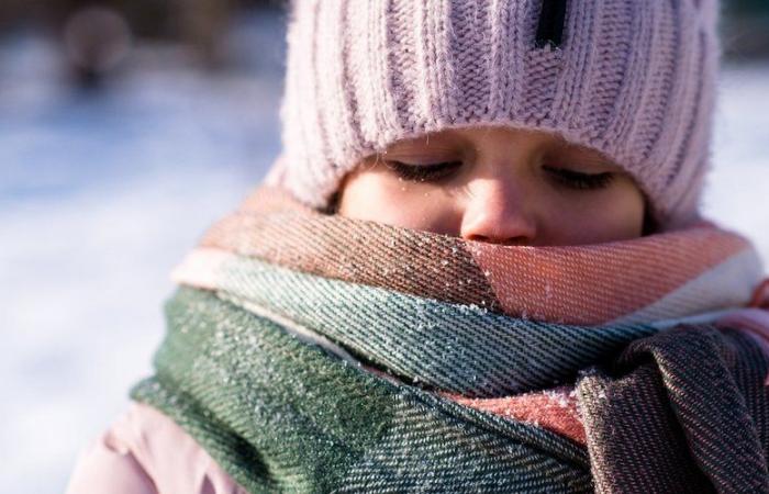 Falling temperatures, rain and snow in the plains: a “cold snap” will hit the country, Météo France sounds the alert