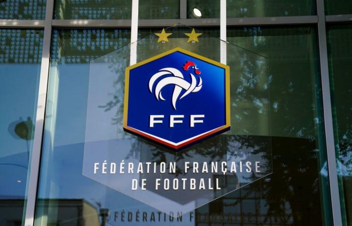 FFF elections – The two candidates promise L3 and VAR in Ligue 2