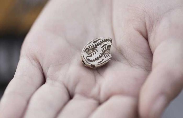 A teenager discovers an Egyptian amulet by chance while looking for “porcupine needles”