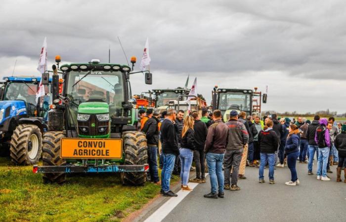 50 tractors in action to say no to abandoning agricultural land