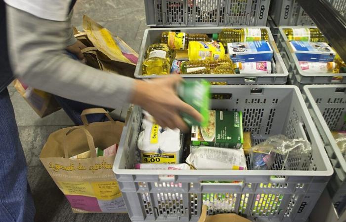 Sharing Saturday: 202 tonnes of food collected in Geneva