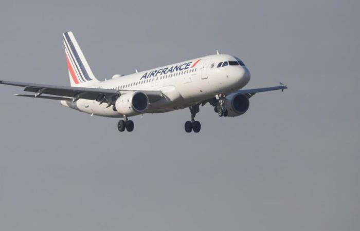 Air France-KLM is the airline best committed to sustainable fuel, according to a think tank