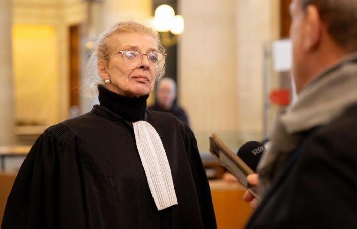 Trial of the ex-Grenoblois – Anne Cadiot-Feidt, lawyer for the alleged victim: “Consent is when you say yes!”