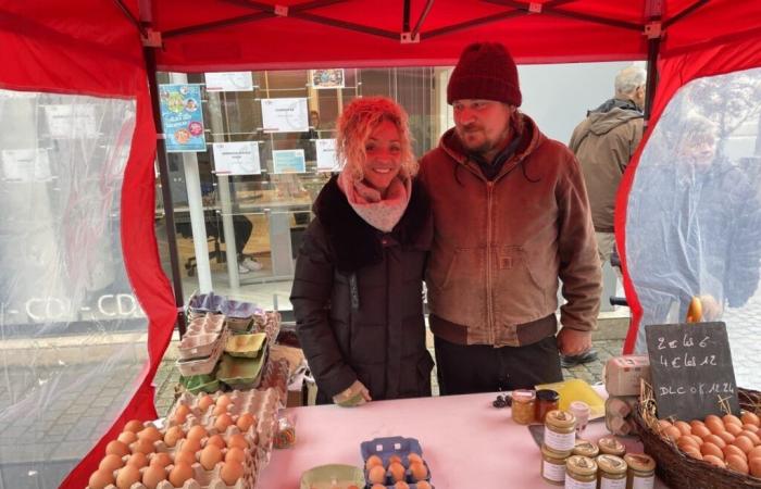 Producer of ultra-fresh eggs in Orne, this couple has the secret of well-bred chickens