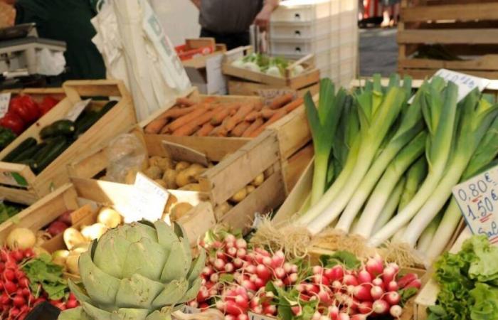 “I was ashamed…” In Vendée, they were victims of a vegetable scam