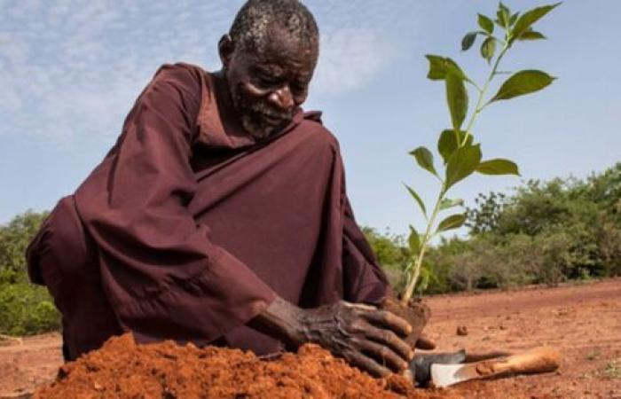 At least USD 2.6 trillion by 2030 to combat land degradation