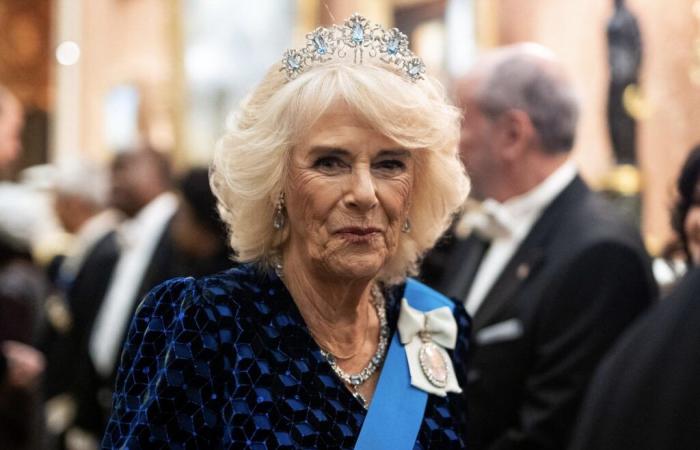 Camilla ill: her nasty lung infection won't let her go, the Queen's health worries