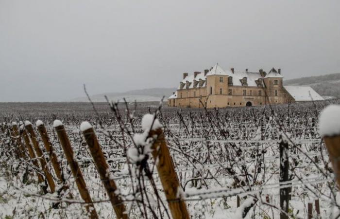 Weather report. Announced return of snow and cold in Côte-d'Or: what we know