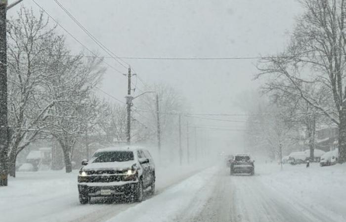 Up to 30 cm of snow this week: certain sectors will win the jackpot