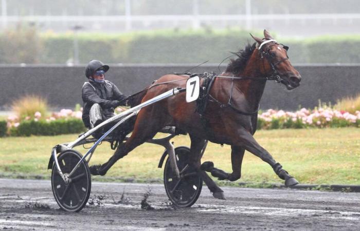 Saturday in Vincennes The best 4-year-olds on the track