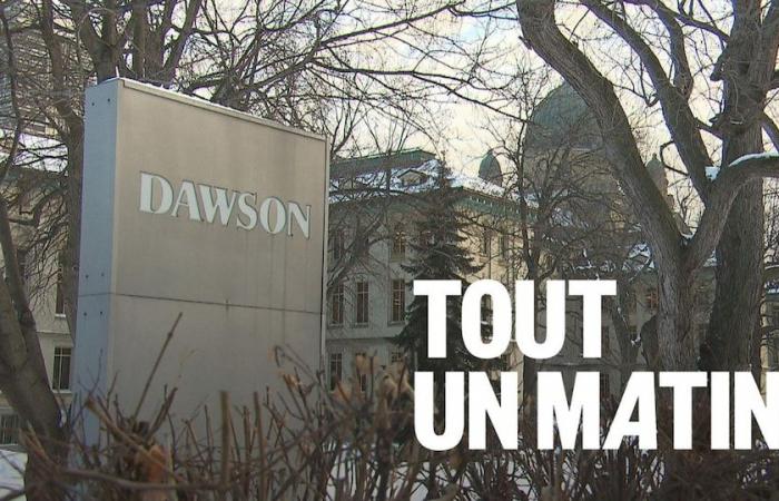 two colleges targeted by a Quebec investigation