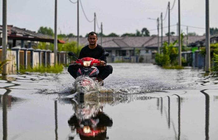 Floods in Thailand: death toll rises to 25