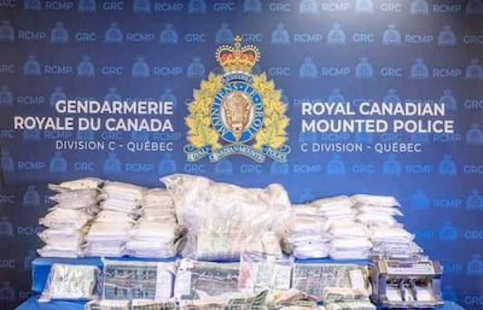 Accused of drug trafficking in the United States: one of the Scoppa brothers hopes to stay in Quebec