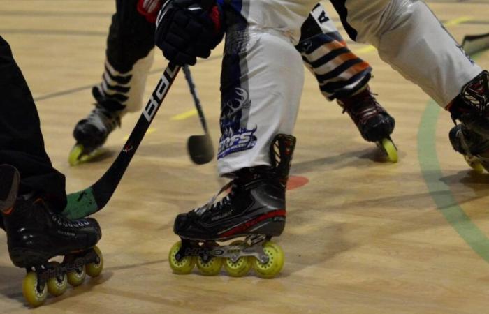 In Thonon, the roller hockey team organizes a “soft toy” match for the benefit of Secours Populaire (interview)