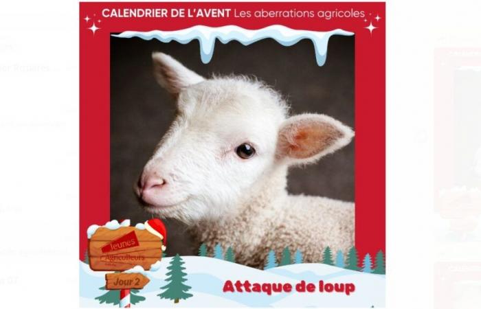 More information in Drôme Ardèche: in Ardèche, the Advent calendar of agricultural aberrations