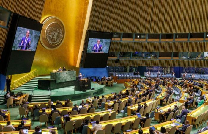 The UN assembly wants the creation of a Palestinian state