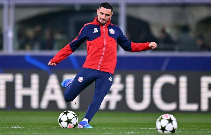 “Today, I am living another dream with LOSC”, Rémy Cabella bursts the abscess following tensions in Montpellier