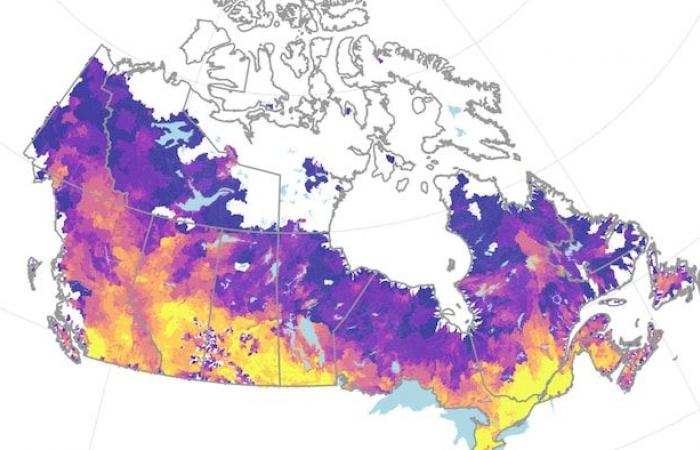 Just 2% of land would be enough to protect half of inhabited flood zones