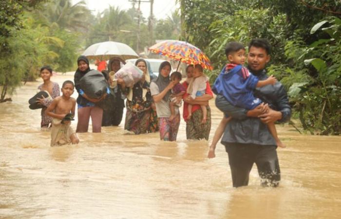 Floods cause losses of USD 580 million to rubber plantations