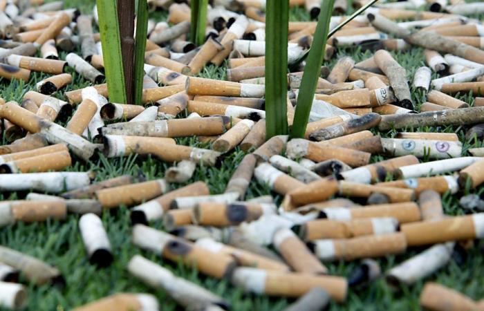 Cigarette butts on playgrounds are a risk