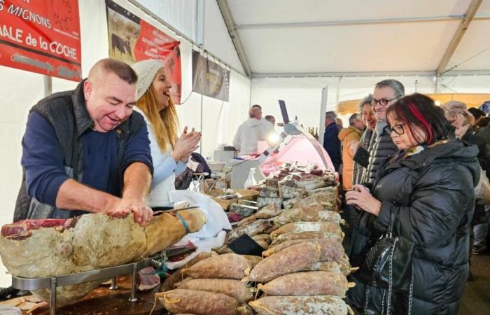 In Gironde, this fair more than 500 years old returns with an attractive program