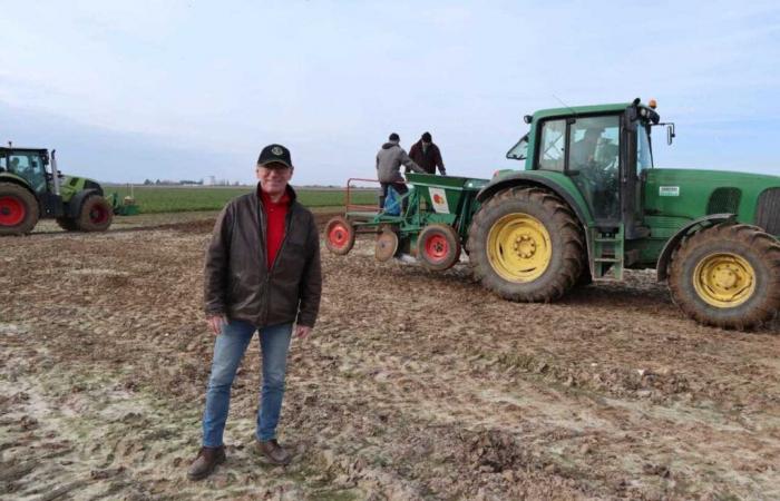 170,000 tulips planted against cancer by this Val-d'Oise Lions Club