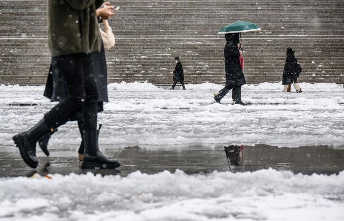 Seoul, South Korea snow: Delight and disruption as record November snowfall hits capital