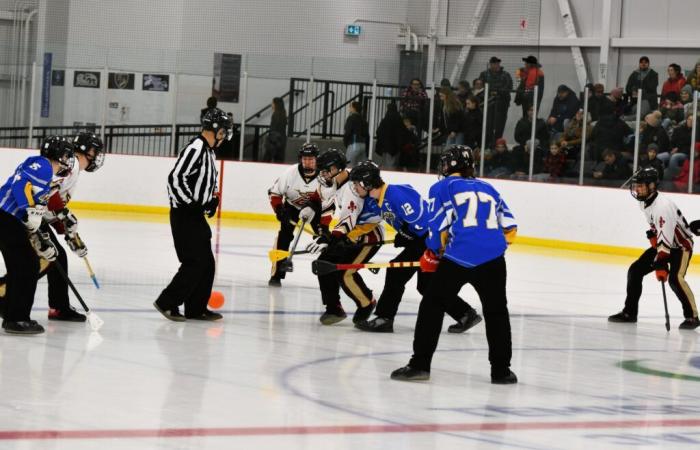 A total of 5 gold medals for the Témiscouata minor ice ball