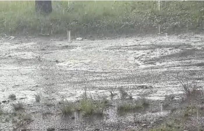 Guadeloupe holds the world record for rain in 1 minute