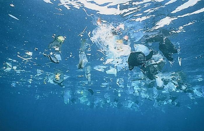 a Vendée Globe sailboat studies the extent of plastic pollution