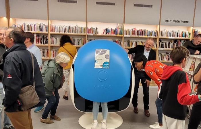 The Bruges toy media library partially takes on water when it rains