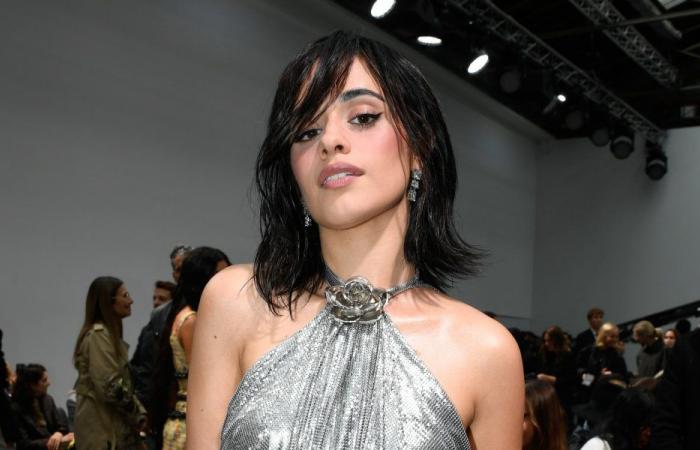 Camila Cabello admits the music industry has toughened her: “I built a shell for myself”