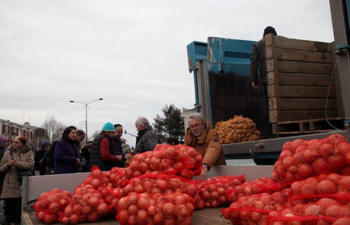 an exceptional sale of potatoes and onions at cost price, here's where