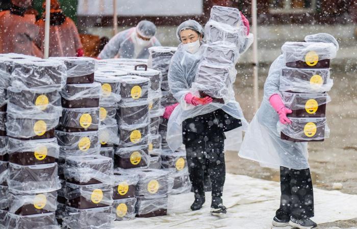 Seoul, South Korea snow: Delight and disruption as record November snowfall hits capital