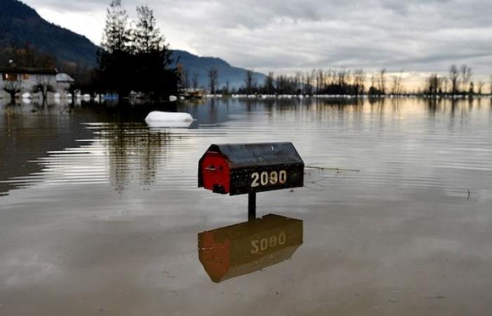 Just 2% of land would be enough to protect half of inhabited flood zones