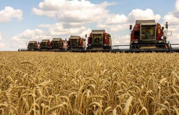 Russia wants to export 1.5 million tonnes of wheat to Morocco