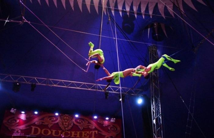 the Christmas circus, discounted transport and great action from the volleyball players Wednesday December 3